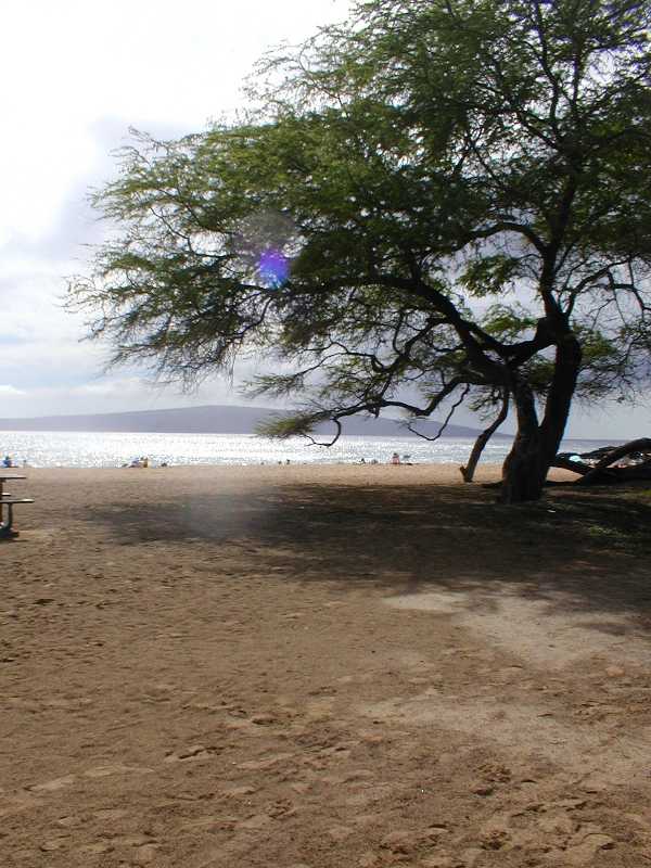 bigbeach-res.jpg